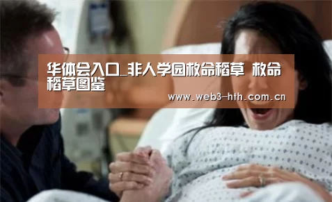 华体会入口_非人学园救命稻草 救命稻草图鉴(图1) 华体会