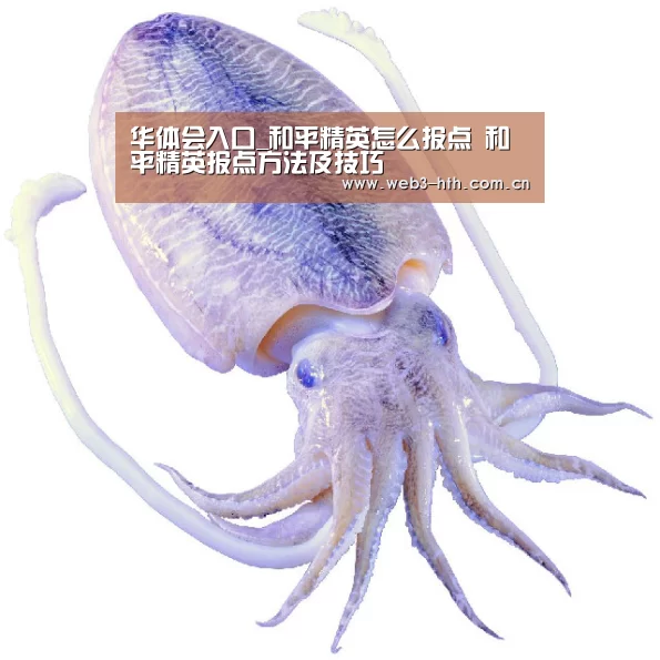 华体会