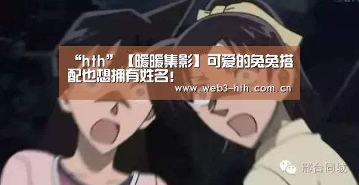 华体会入口